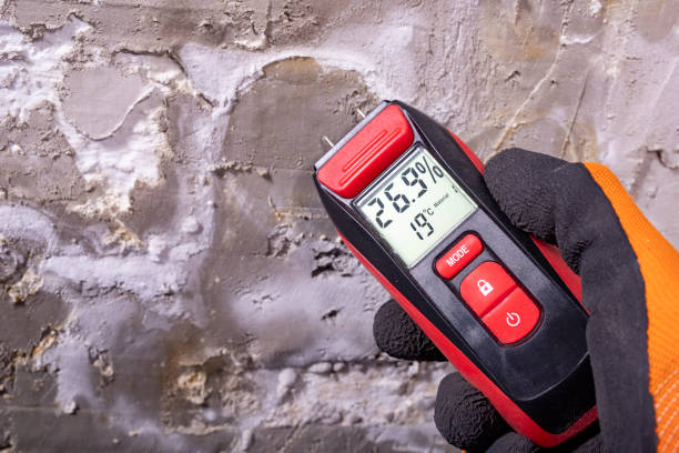 Best Emergency Mold Removal  in Rancho San Diego, CA