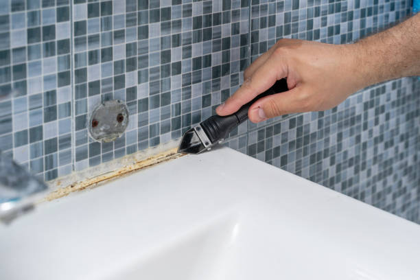 Best Mold Testing  in Rancho San Diego, CA